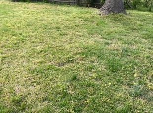 Cleanups by Andree Dualan for Ardell G. in Virginia Beach, VA