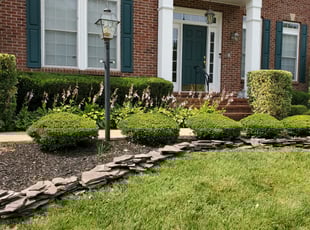 Bush Trimming by Rose Valle for Mariam E. in Springfield, VA