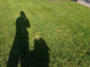 Weeding by Lakiesha Hale for Nehaw S. in South Euclid, OH