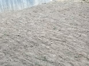 Landscaping by Philip Castle for Alexandra W. in Denver, CO