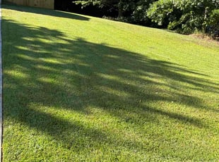 Mel C.'s Grass Cutting service result