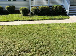 Bush Trimming by LaWanda Moses for Mustafa K. in Glen Allen, VA