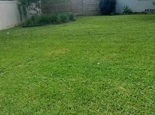 Ken m.'s Lawn Care service result