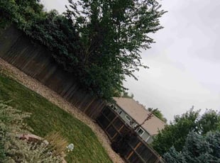 Weeding by Joshua Hines for James B. in Aurora, CO