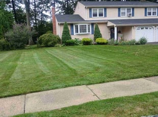 Fadi H.'s Grass Cutting service result