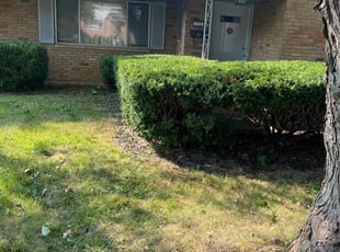 Bush Trimming by Jose Maltos for Kristen D. in Cincinnati, OH
