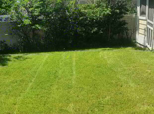 Jose V.'s Lawn Service service result