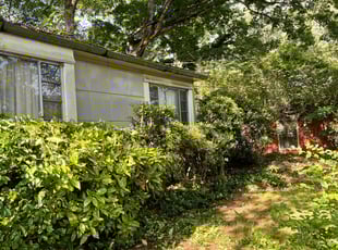 Bush Trimming by Daniel Burse for Jackie B. in Atlanta, GA