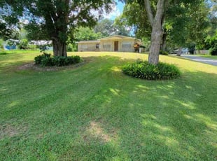 Tamika W.'s Lawn Mowing service result