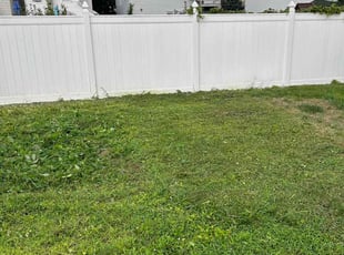 Jeffery s.'s Yard Cutting service result