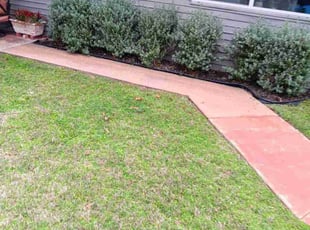 Weeding by Jose Tovar for Matt L. in North Richland Hills, TX