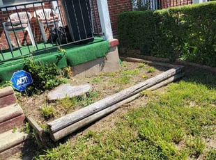 Weeding by Patrick Blake for Michael B. in Baltimore, MD