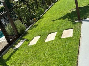 Caren M.'s Lawn Mowing Service service result