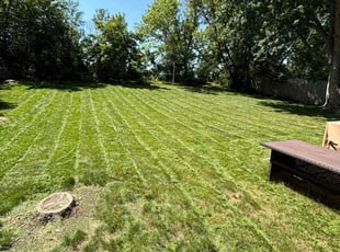 James H.'s Lawn Care service result