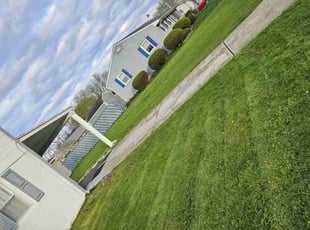 Erika P.'s Lawn Mowing Service service result