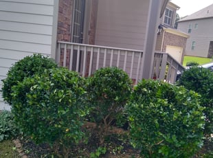 Bush Trimming by Andrew Estey for Tricia P. in Acworth, GA