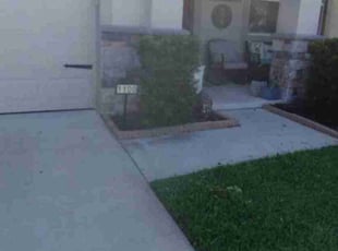 Bush Trimming by Willie Carmichael for Noel S. in Apopka, FL