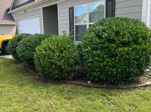 Landscaping by Ryan Lindsey for Wes Y. in Winder, GA