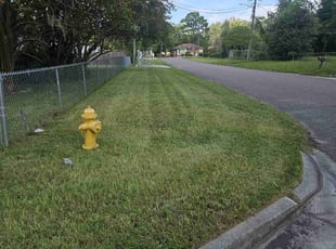 Dale M.'s Lawn Mowing service result