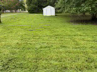 Erika R.'s Lawn Mowing service result