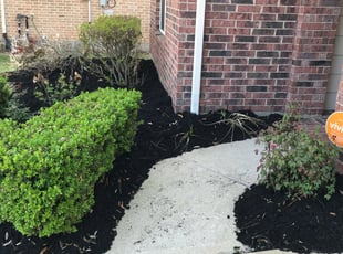 Mulching by Briana Rivera for Cienna C. in Katy, TX