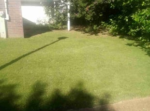 Joel S.'s Yard Cutting service result