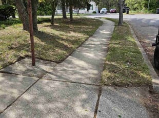 Leaf Removal by Walter White for Jim T. in Gloucester Township, NJ