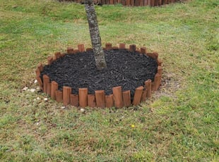 Mulching by Steven Solis for Maggie M. in Leander, TX