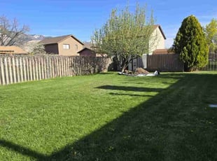 Adam P.'s Lawn Maintenance service result