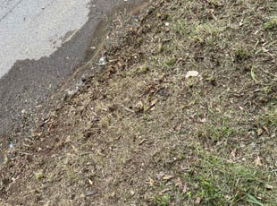 Leaf Removal by Jackie Dixon for Rakira S. in Birmingham, AL