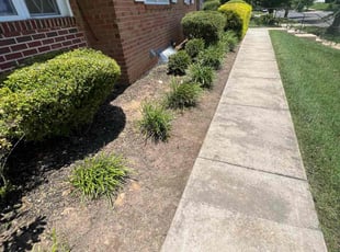 Weeding by Jairon Villagran for Hanna M. in Rockville, MD