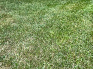 Cleanups by Alesandre Mejita Duarte for Marisol R. in Herndon, VA