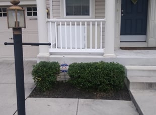 Bush Trimming by Bernard Frampton for Pooja B. in Baltimore, MD