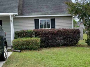 Bush Trimming by Charmaine Williams for Matthew D. in Beaufort, SC