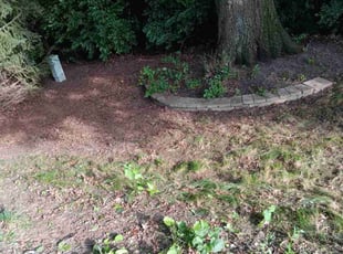 Leaf Removal by Dan Forsythe for Krystal D. in Grove City, OH