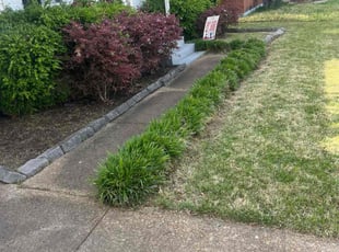 Leaf Removal by James Franks for Sadikchya K. in Memphis, TN