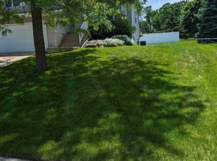 Jennifer N.'s Yard Cutting service result