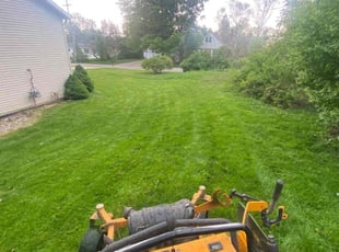 Doug m.'s Lawn Service service result