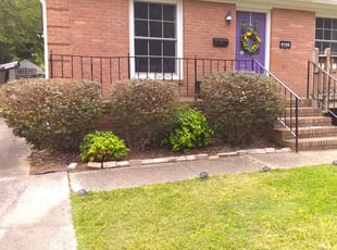 Janet B.'s Bush Trimming service result