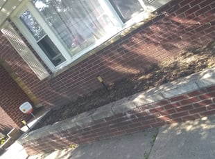 Weeding by Valerie Glenn for Asia W. in Southfield, MI