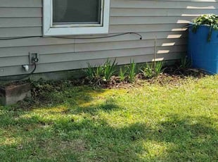 Leonard S.'s Bush Trimming service result