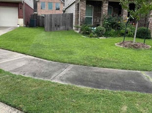 Jimmie L.'s Grass Cutting service result