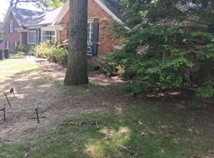 Cleanups by Troy a Stokes for Stephanie S. in Toledo, OH