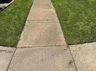 Jessika U.'s Lawn Mowing Service service result
