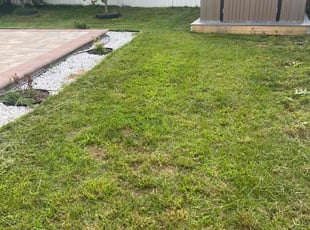Stephen D.'s Lawn Care service result