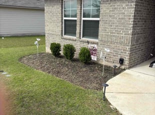 Bush Trimming by Josue Perez Rios for Daniel E. in Hutto, TX