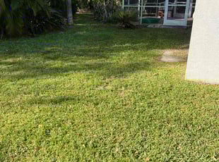 Gordon G.'s Lawn Mowing Service service result