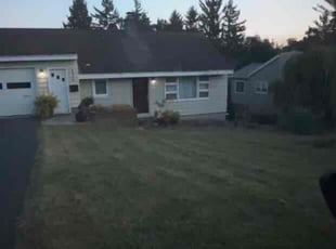 Bob Y.'s Grass Cutting service result