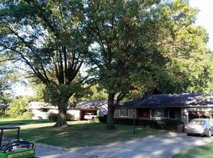 Cleanups by Elisha Nelson for Lisa C. in Columbus, OH