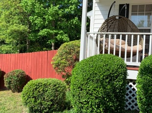 Bush Trimming by Austin Tucker for Patricia T. in Richmond, VA